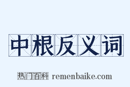 中根反义词是什么意思的图片